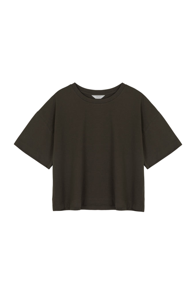 #color_brown